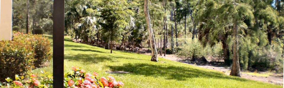 Enjoy the view in a preserve - it is so calming. 